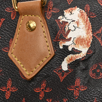Louis Vuitton Catogram Speedy Bandouliere 30 Marron 14 of 14