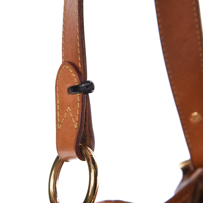 Louis Vuitton Monogram Delightful MM 10 of 13