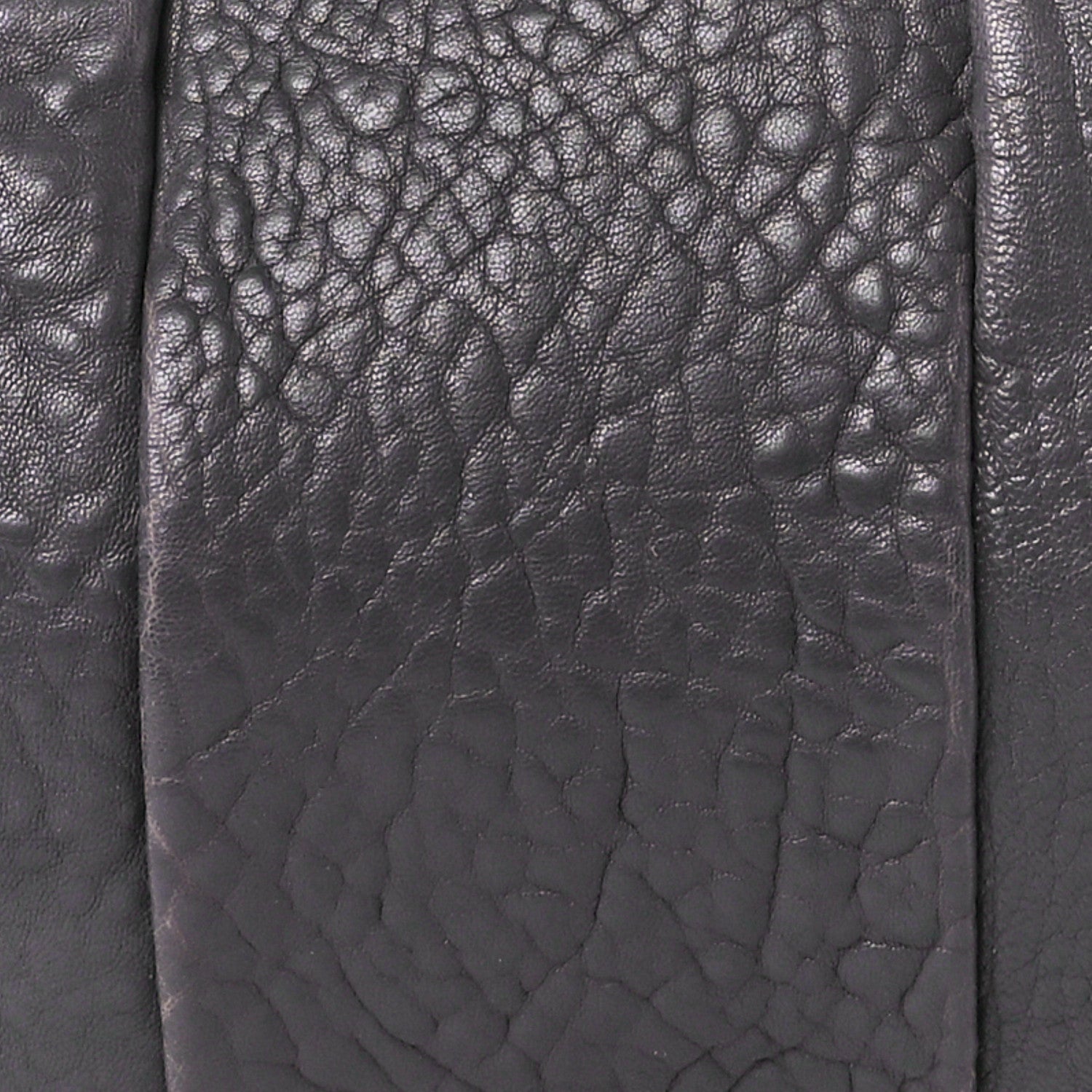 Alexander Wang Pebbled Lambskin Rockie Tundra Antique Silver Hardware 7 of 9