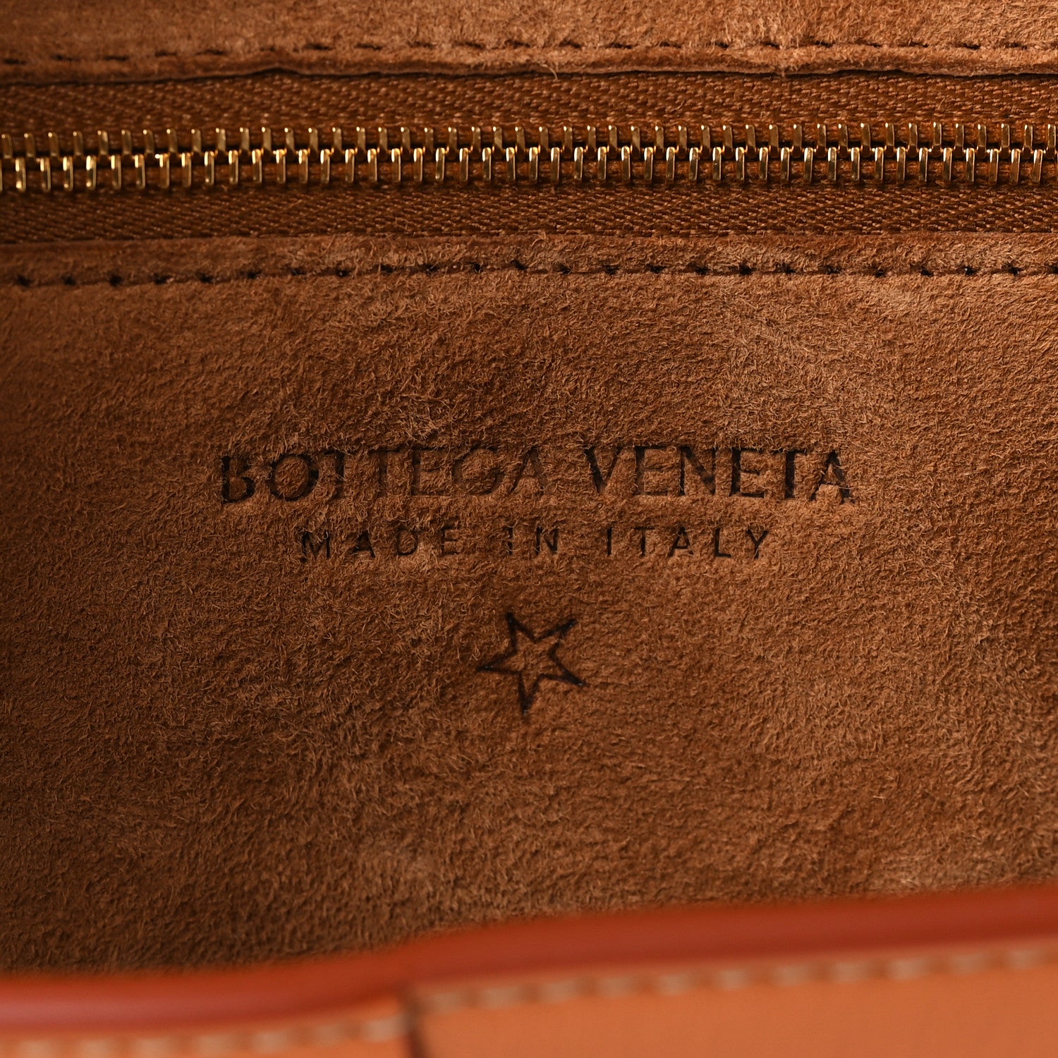 Bottega Veneta French Calfskin Maxi Intrecciato Mini Arco Clay 6 of 10