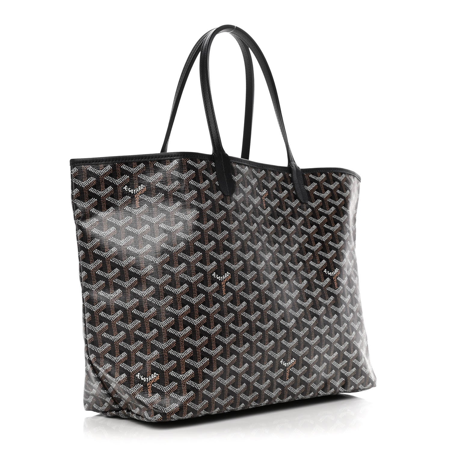 Goyard Goyardine Saint Louis PM Black 3 of 9
