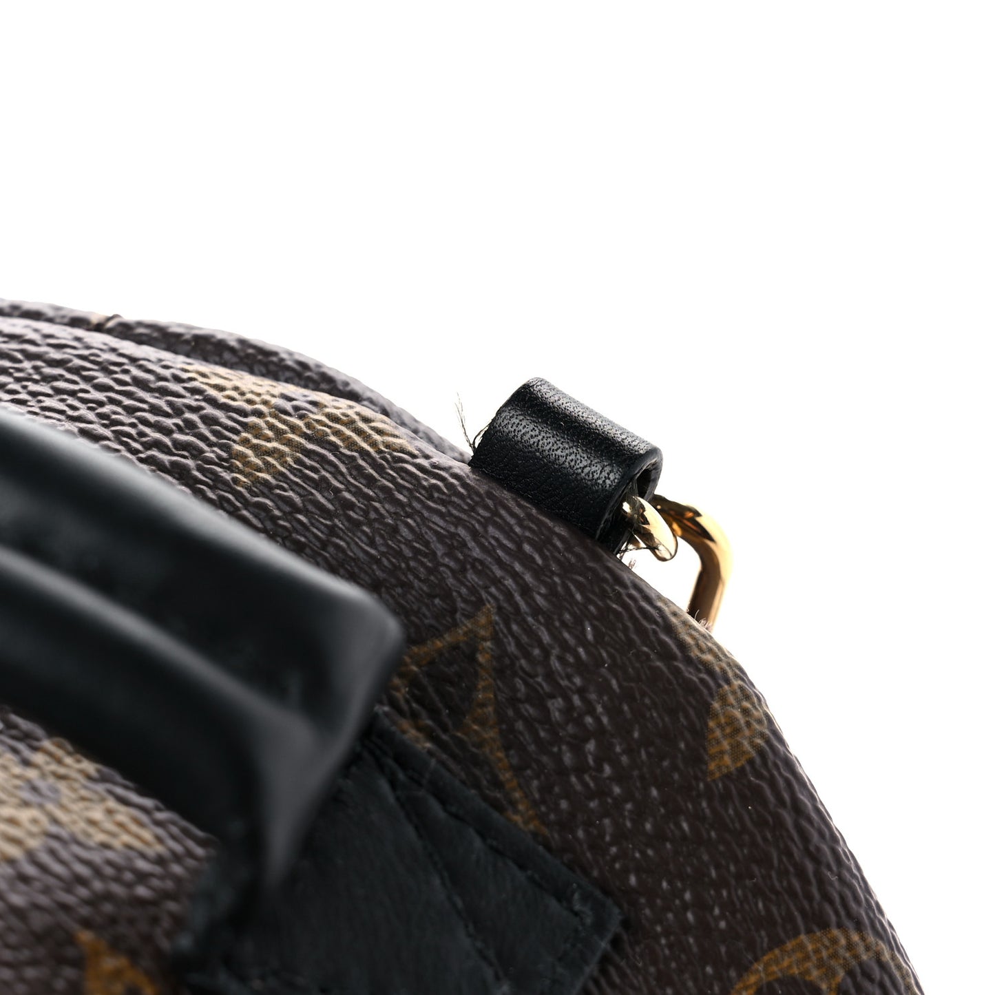 Monogram Palm Springs Backpack Mini