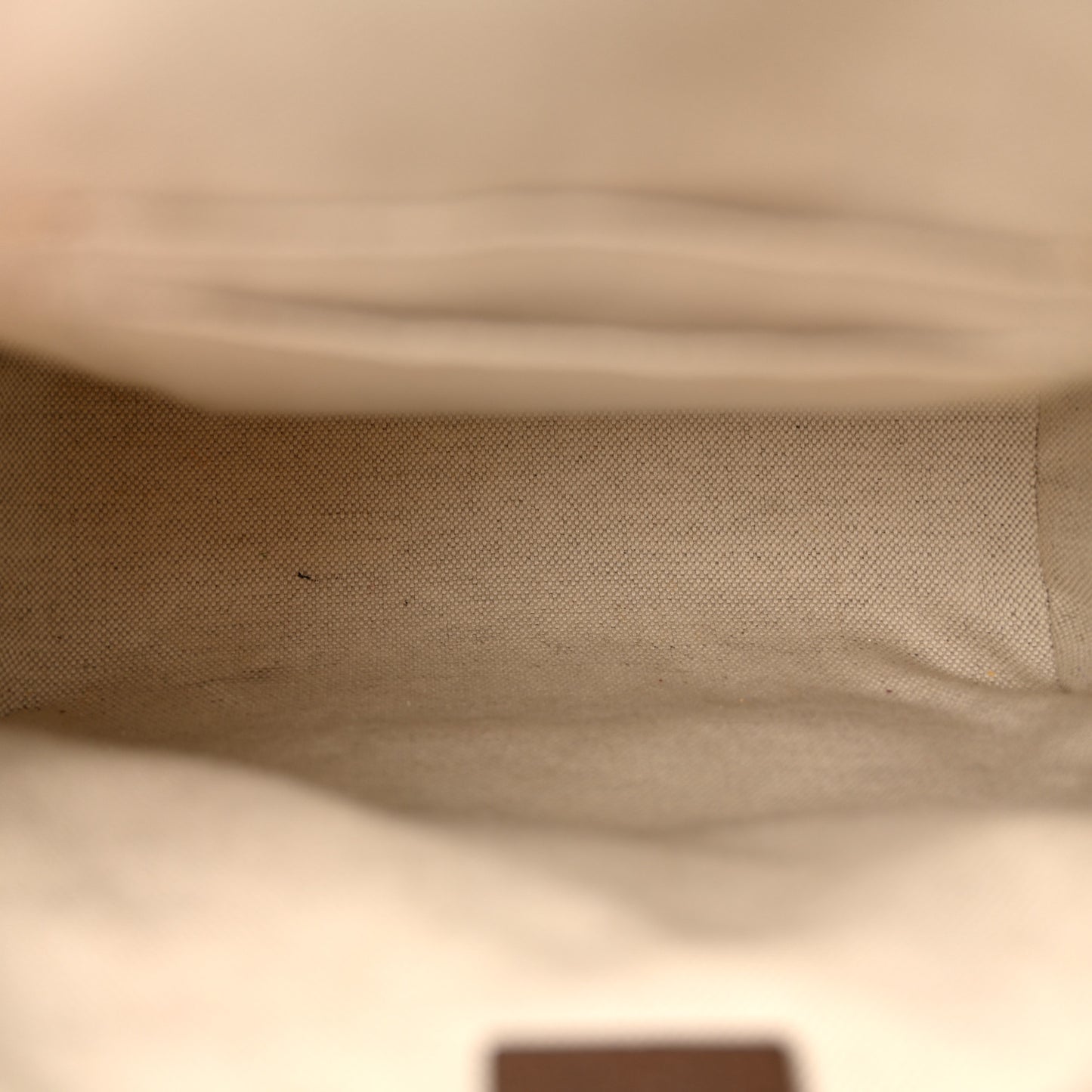 GG Supreme Monogram Calfskin Web Small Ophidia Day BackpacK Beige Ebony New Acero