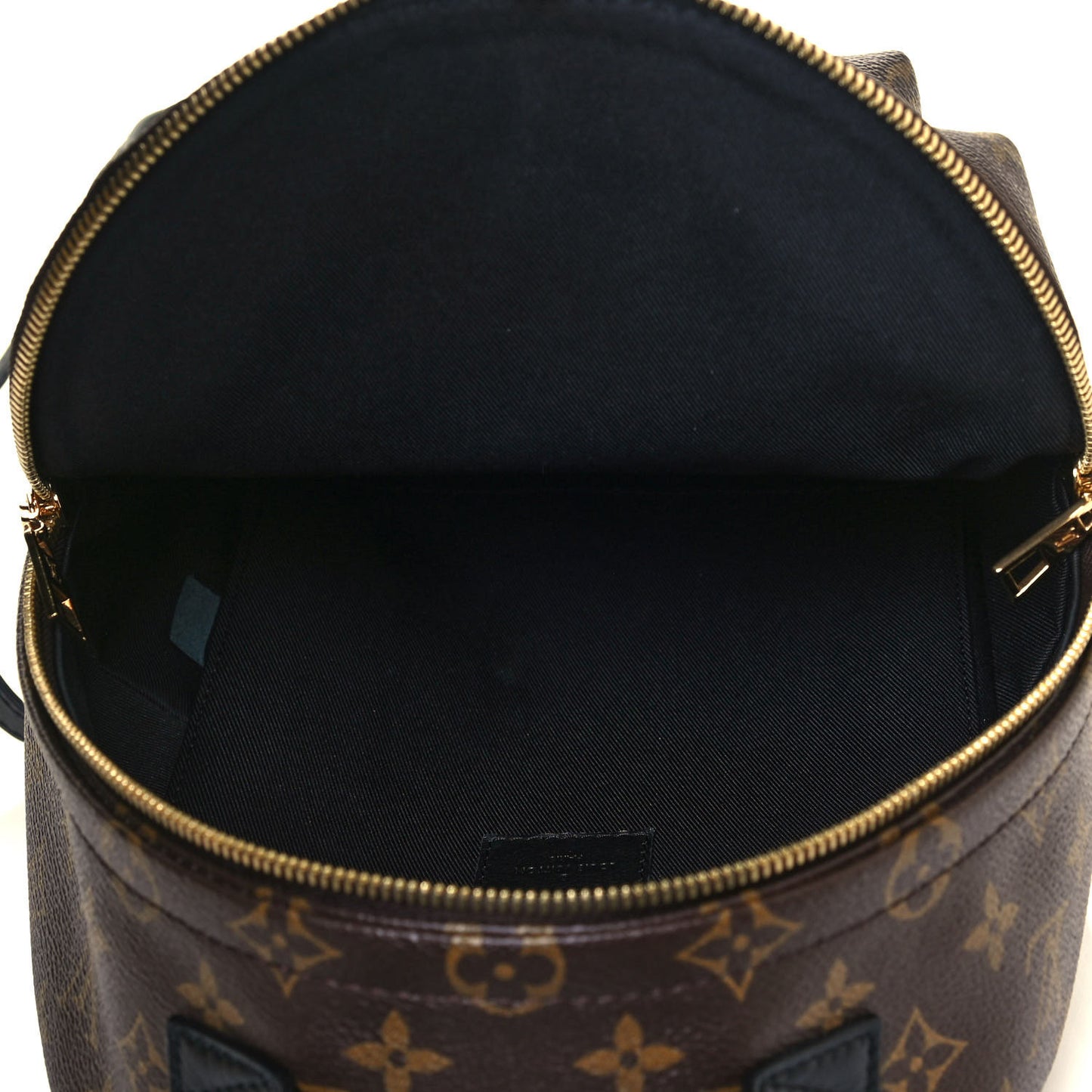Monogram Palm Springs Backpack PM