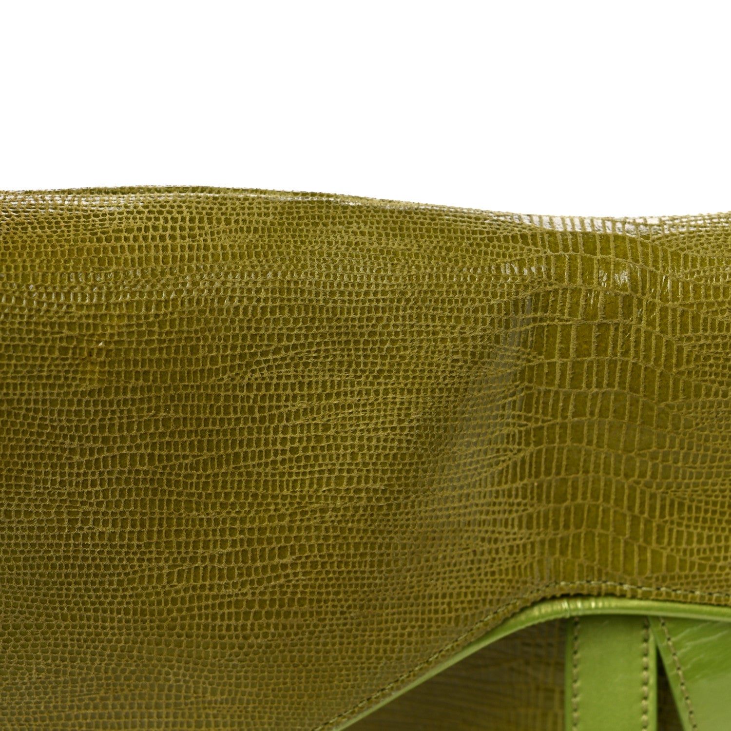 Christian Dior CHRISTIAN DIOR Lizard Saddle Bag Green 14 of 17