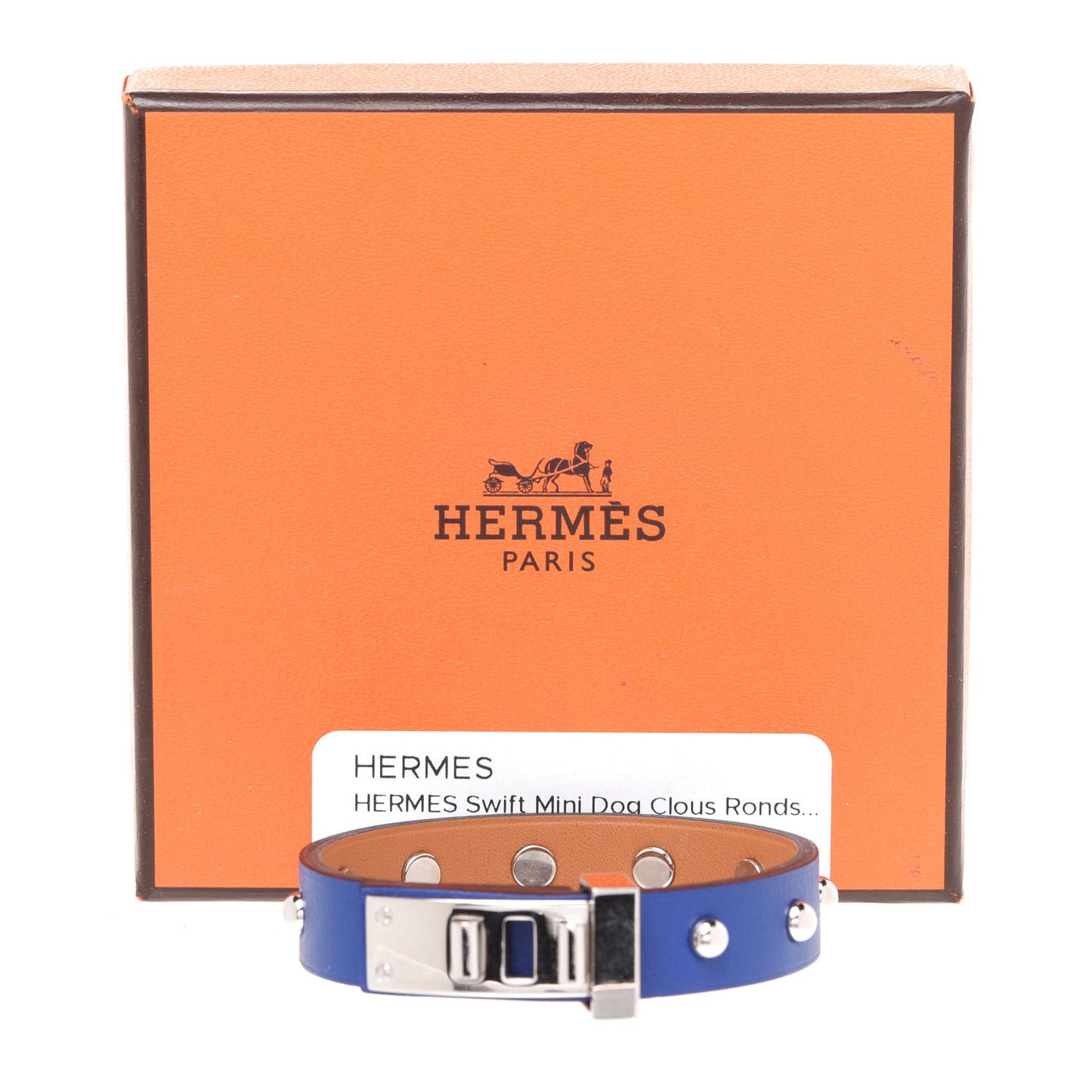 Swift Mini Dog Clous Ronds Bracelet T2 Bleu Electrique