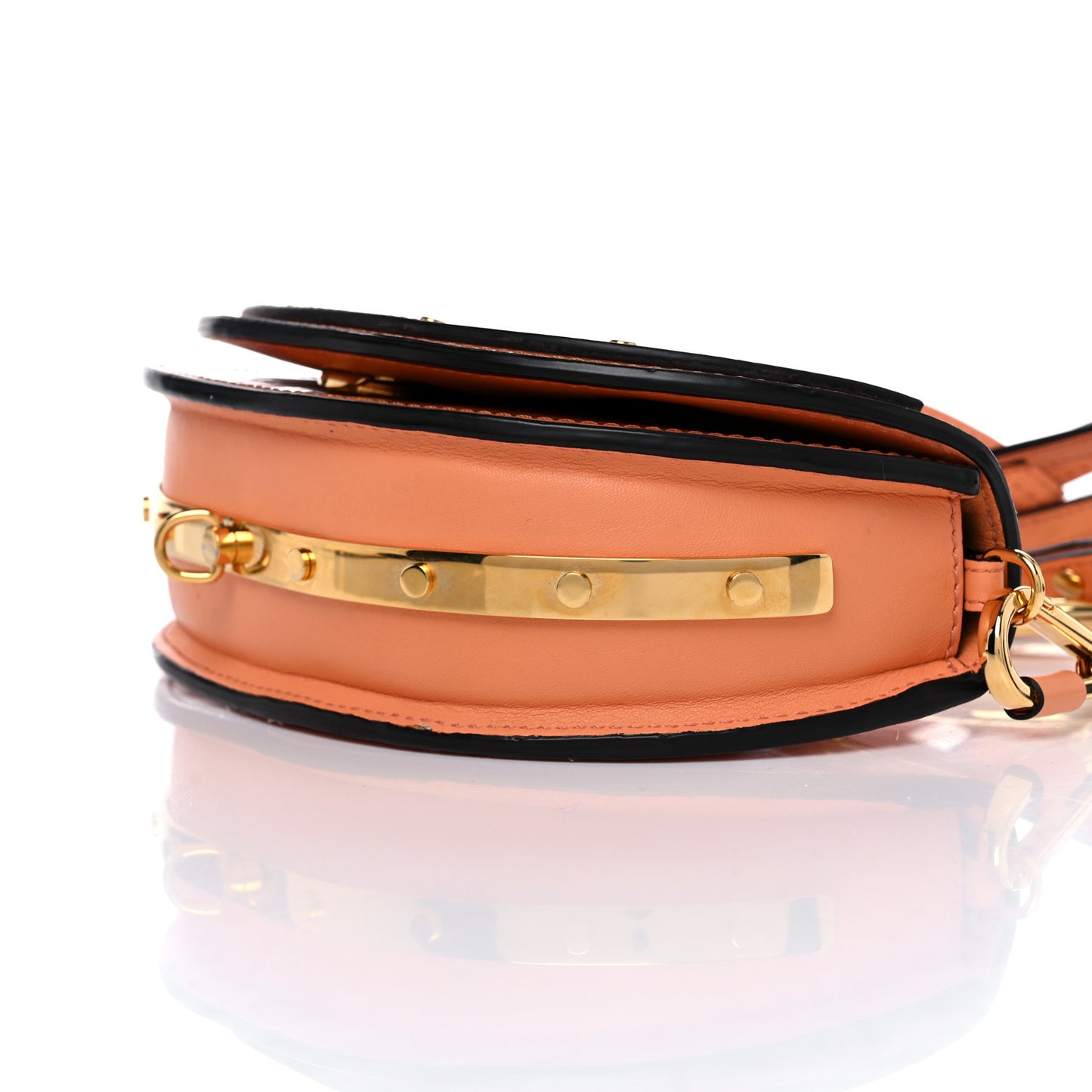 Spazzolato Sfumato Lambskin Calfskin Small Nile Bracelet Minaudiere Bag Ideal Blush