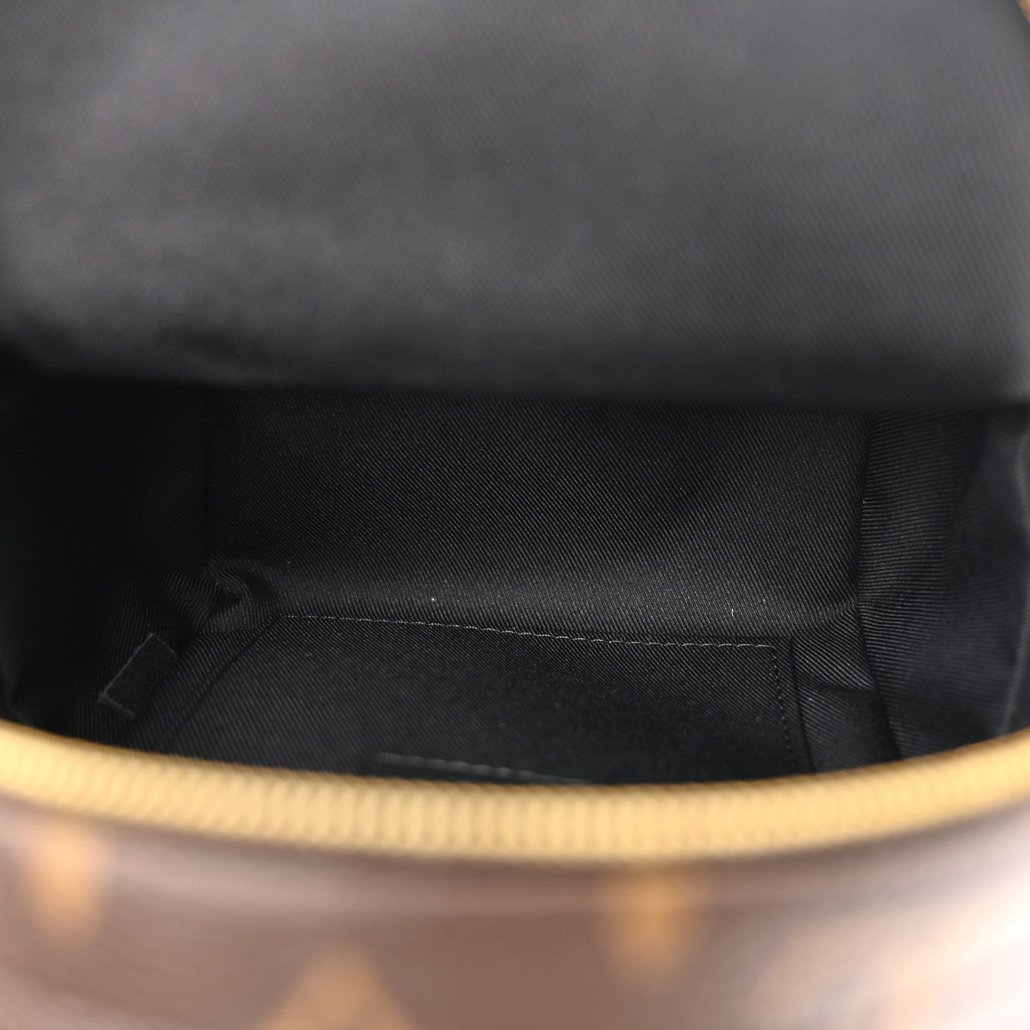 Louis Vuitton Monogram Palm Springs Backpack Mini 5 of 9