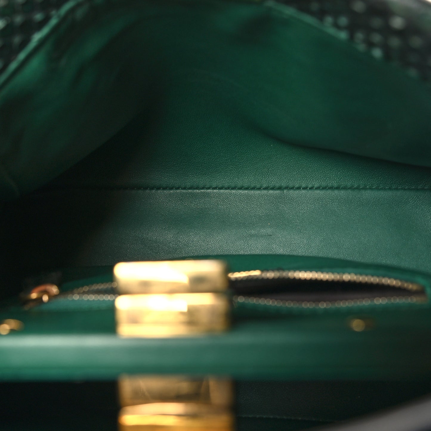 Snakeskin Shiny Nappa Mini Peekaboo Iconic Satchel Green