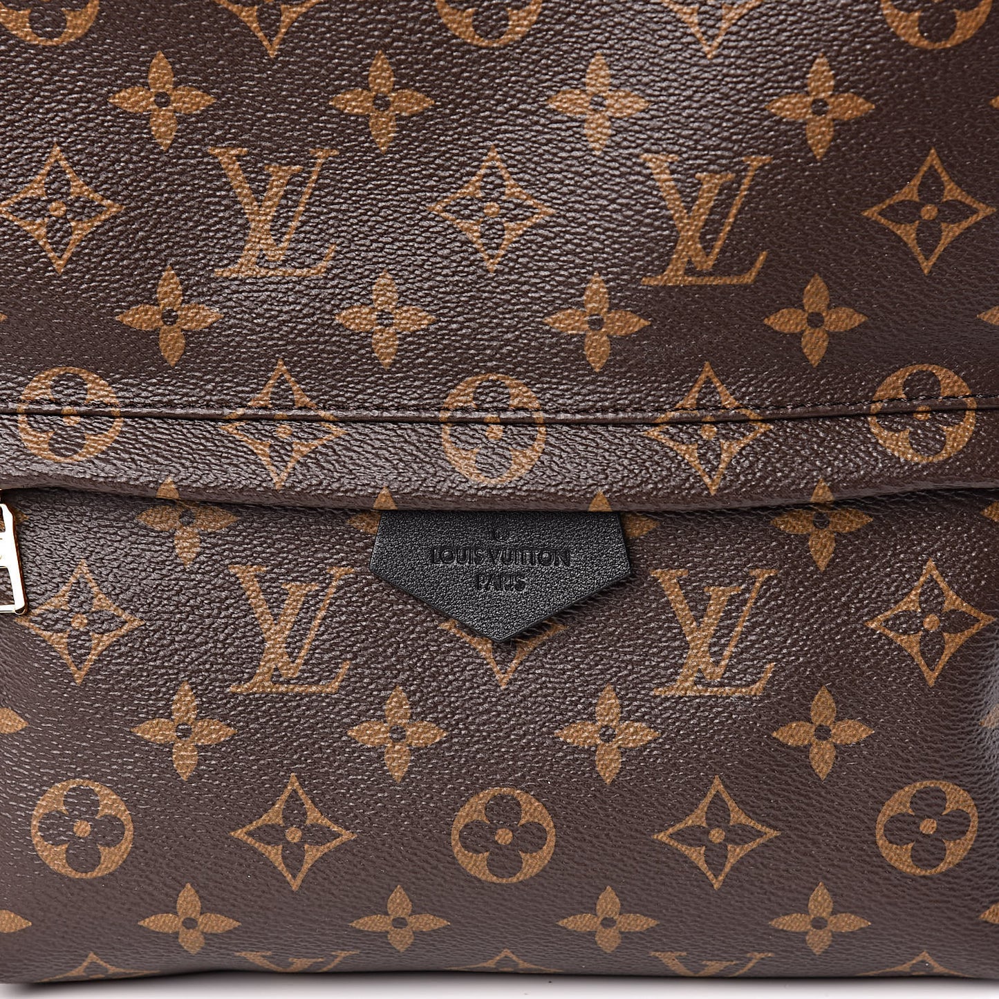 Monogram Palm Springs Backpack MM
