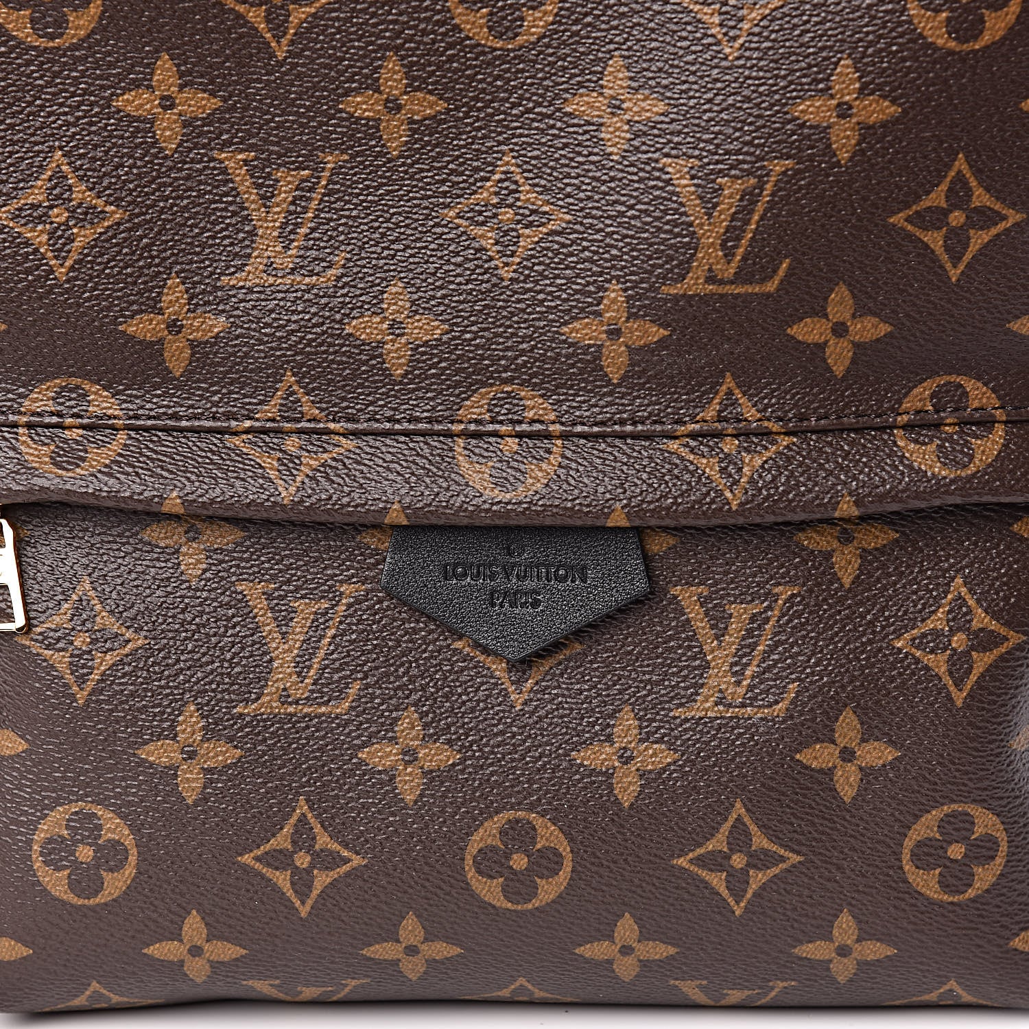 Louis Vuitton Monogram Palm Springs Backpack MM 9 of 9