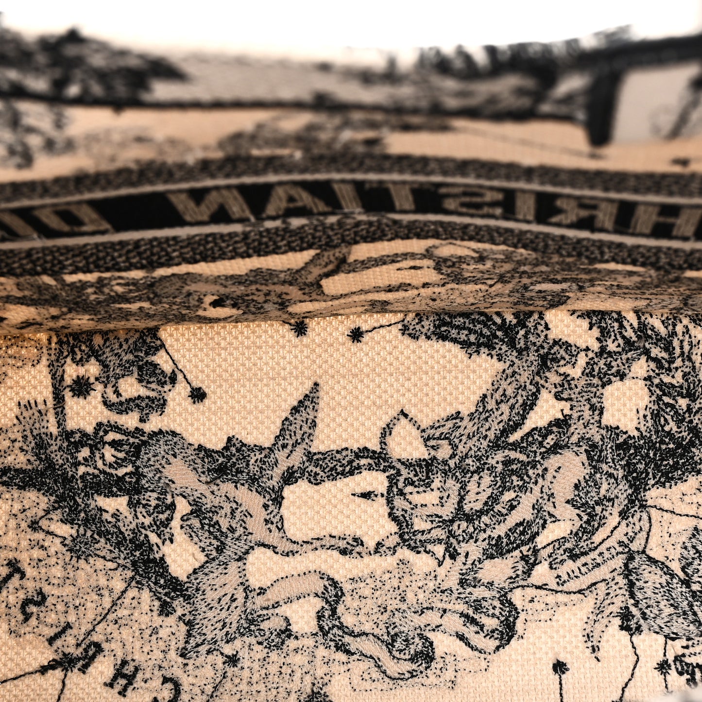 Canvas Zodiac Toile De Jouy Embroidered Medium Book Tote Latte