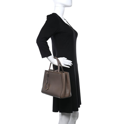 Fendi Vitello Elite Flamingo Petite 2Jours Tote Seppia 2 of 11