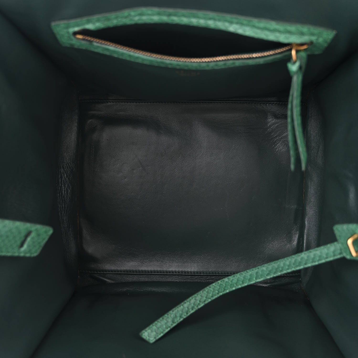 Celine Snakeskin Medium Phantom Luggage Green 1562399 – FASHIONPHILE