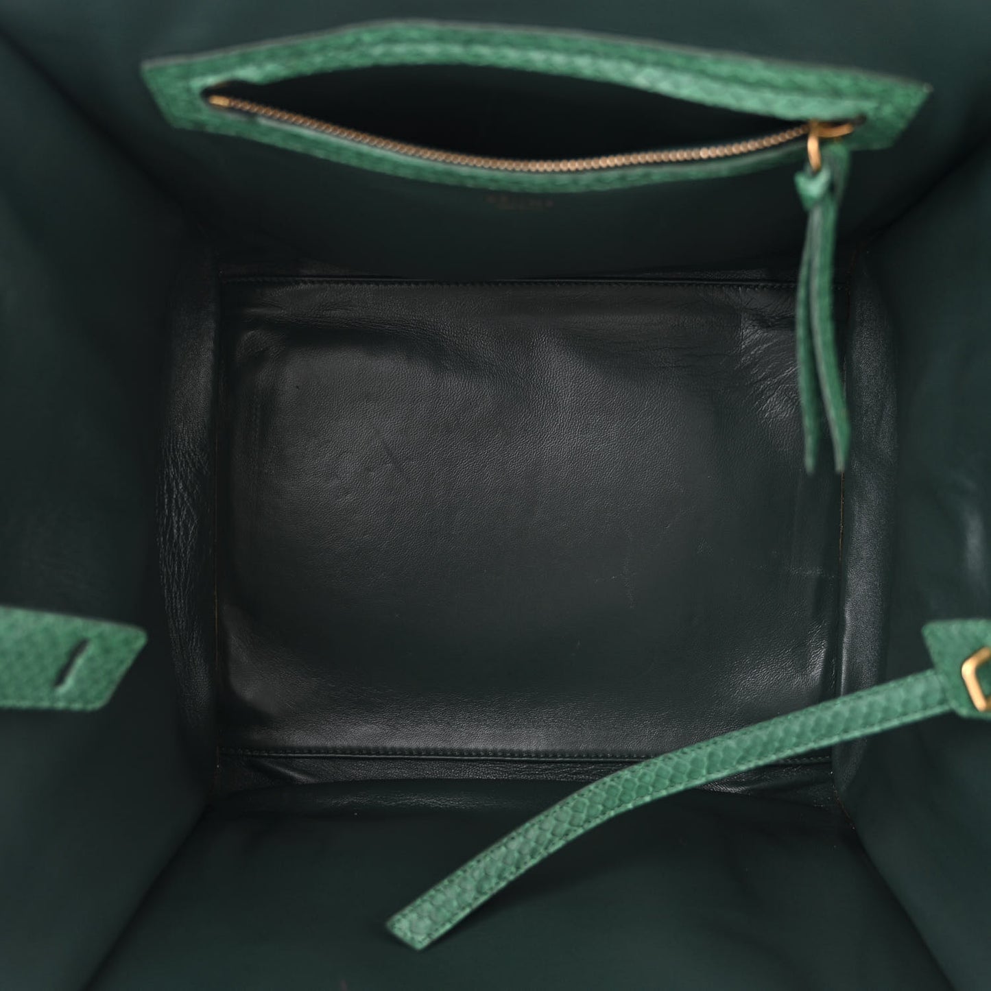 Snakeskin Medium Phantom Luggage Green