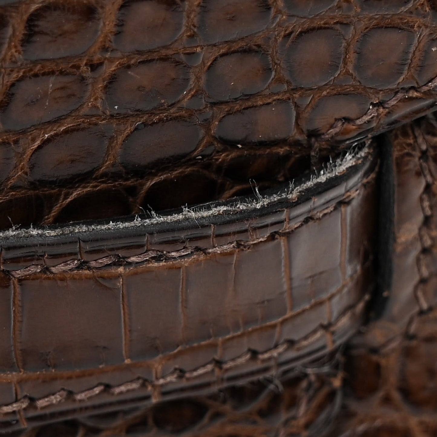 Matte Porosus Crocodile Birkin 30 Havane