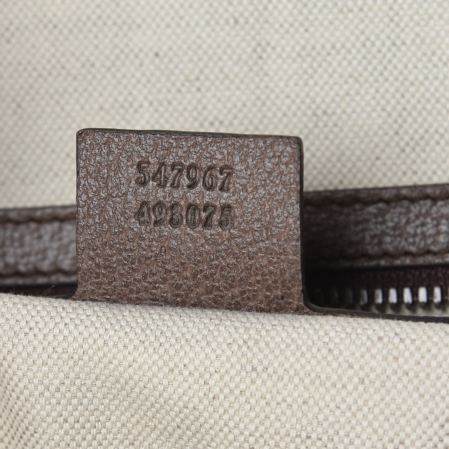 GG Supreme Monogram Medium Ophidia Day Backpack Brown