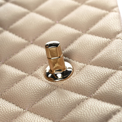 Chanel Iridescent Caviar Quilted Medium Double Flap Dark Beige 10 of 11