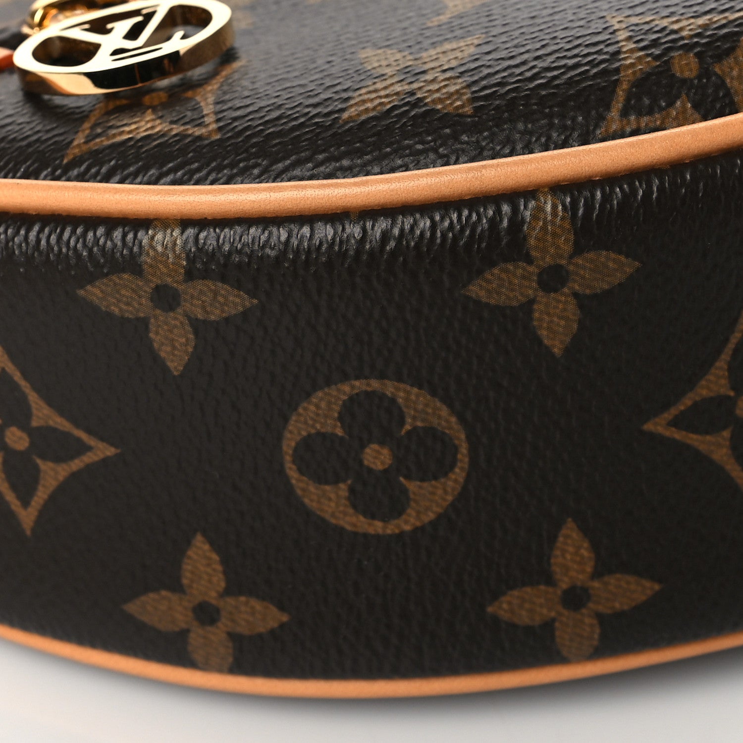 Louis Vuitton Monogram Loop 8 of 9