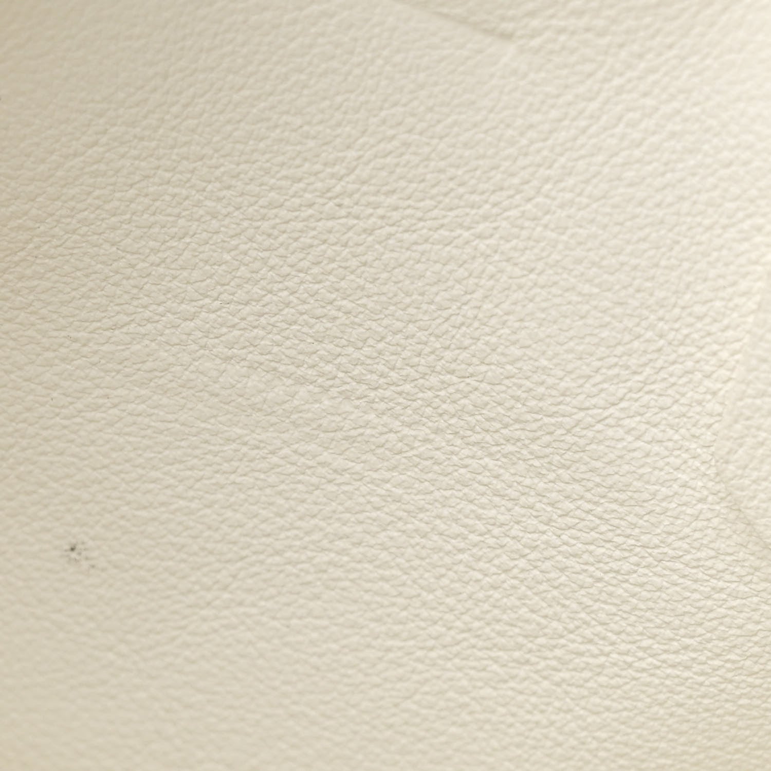 Goyard Goyardine Reversible Mini Anjou White 13 of 13