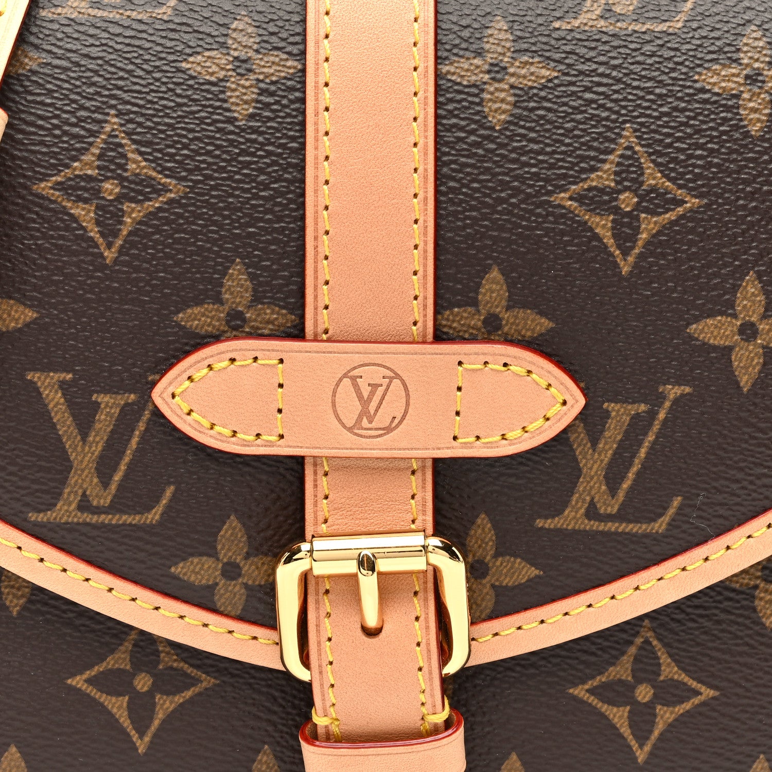 Louis Vuitton Monogram Saumur BB 7 of 9