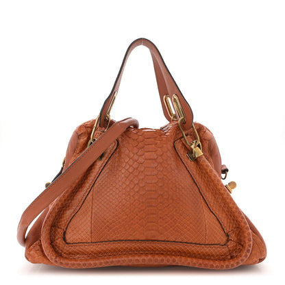 Chloe Snakeskin Medium Paraty Brown 1 of 14