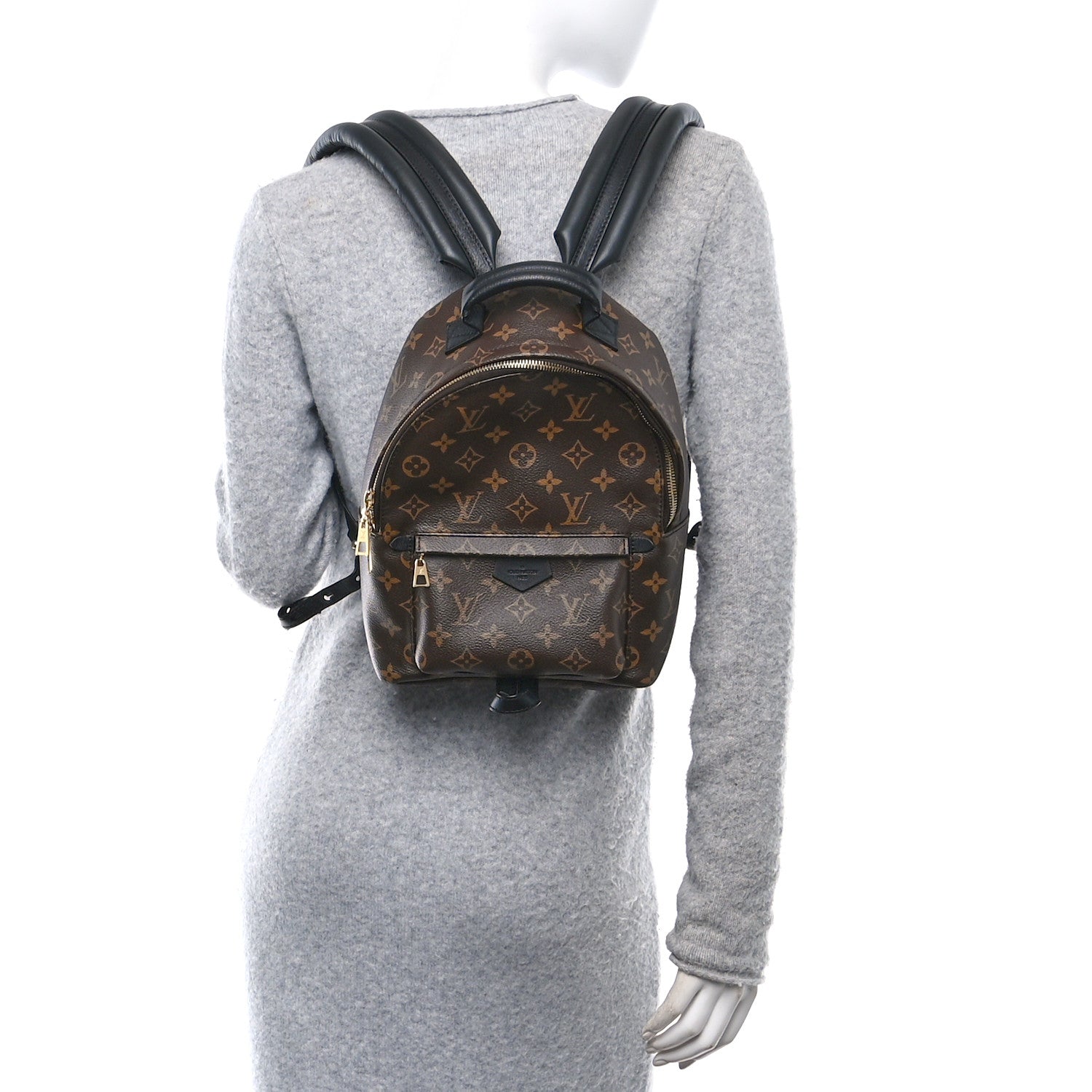 Louis Vuitton Monogram Palm Springs Backpack PM 2 of 9