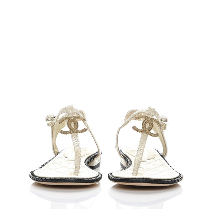 Chanel Python CC Thong Sandals 38 Beige Clair 2 of 7