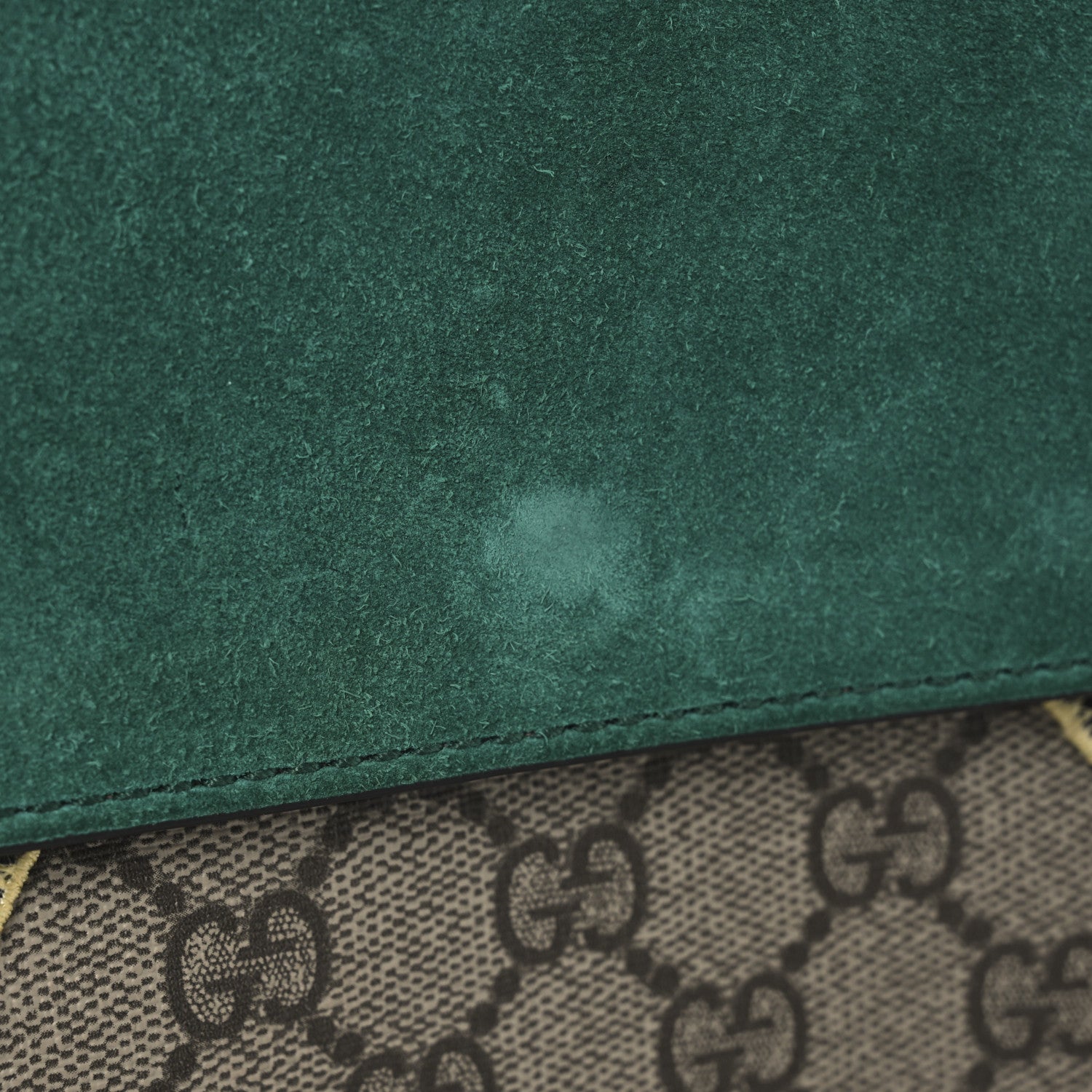Gucci GG Supreme Monogram Willow Hill Embroidered Small Dionysus Shoulder Bag Emerald 11 of 12