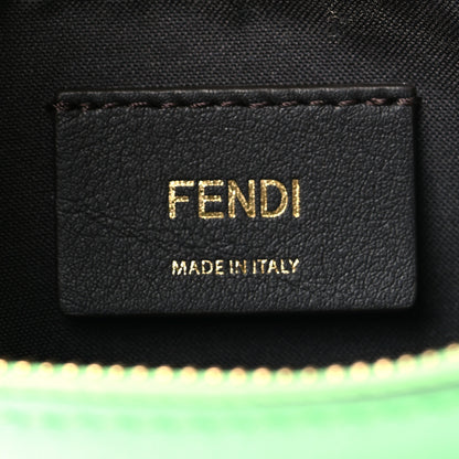 Fendi Vitello Grace Matte Small Fendigraphy Hobo Bag Edamame 6 of 11
