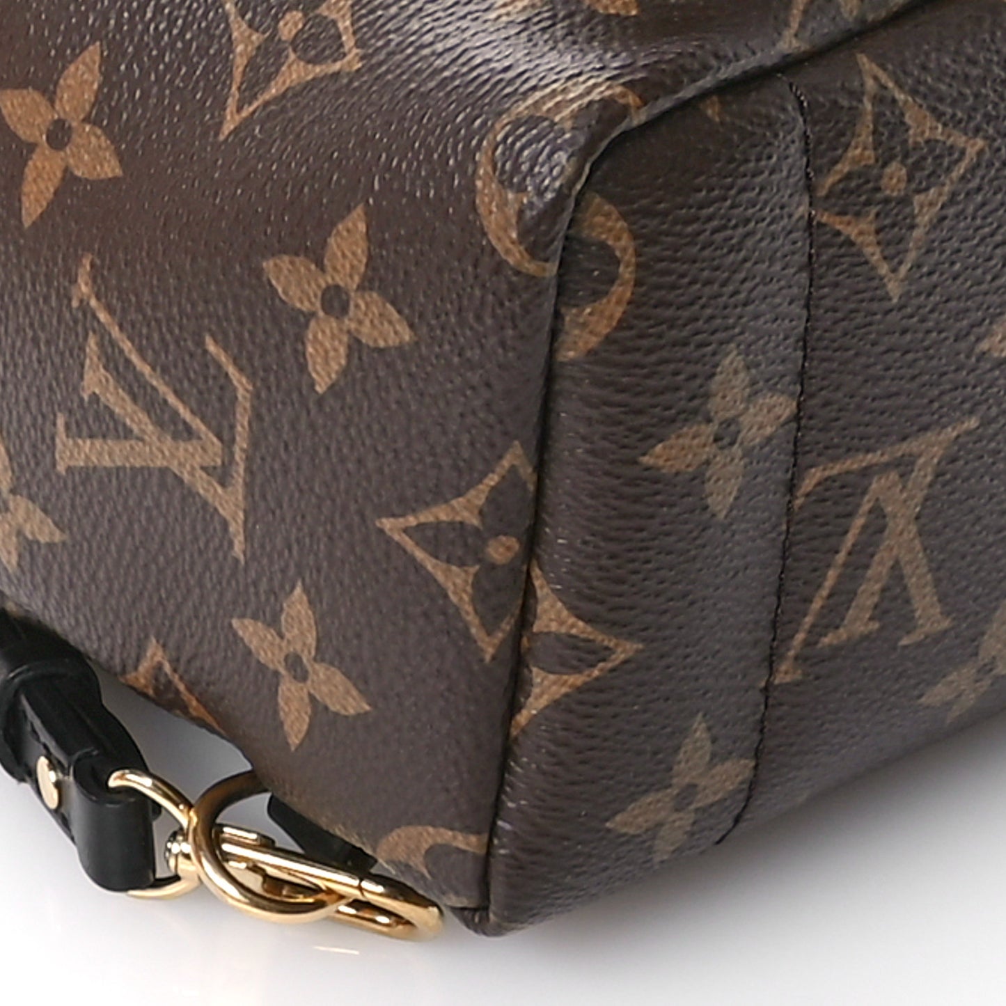 Monogram Palm Springs Backpack Mini