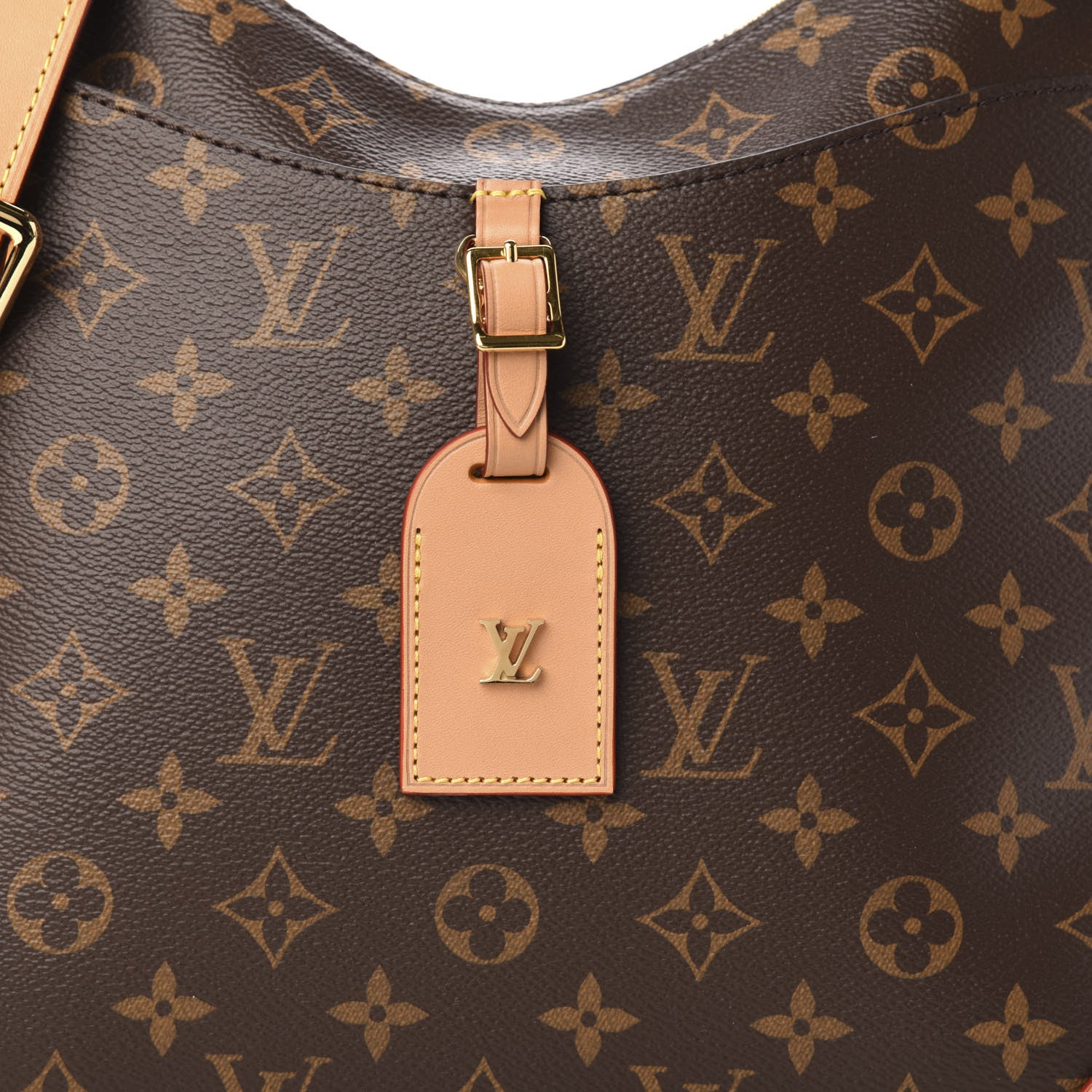 Louis Vuitton Monogram Odeon MM Natural 10 of 10