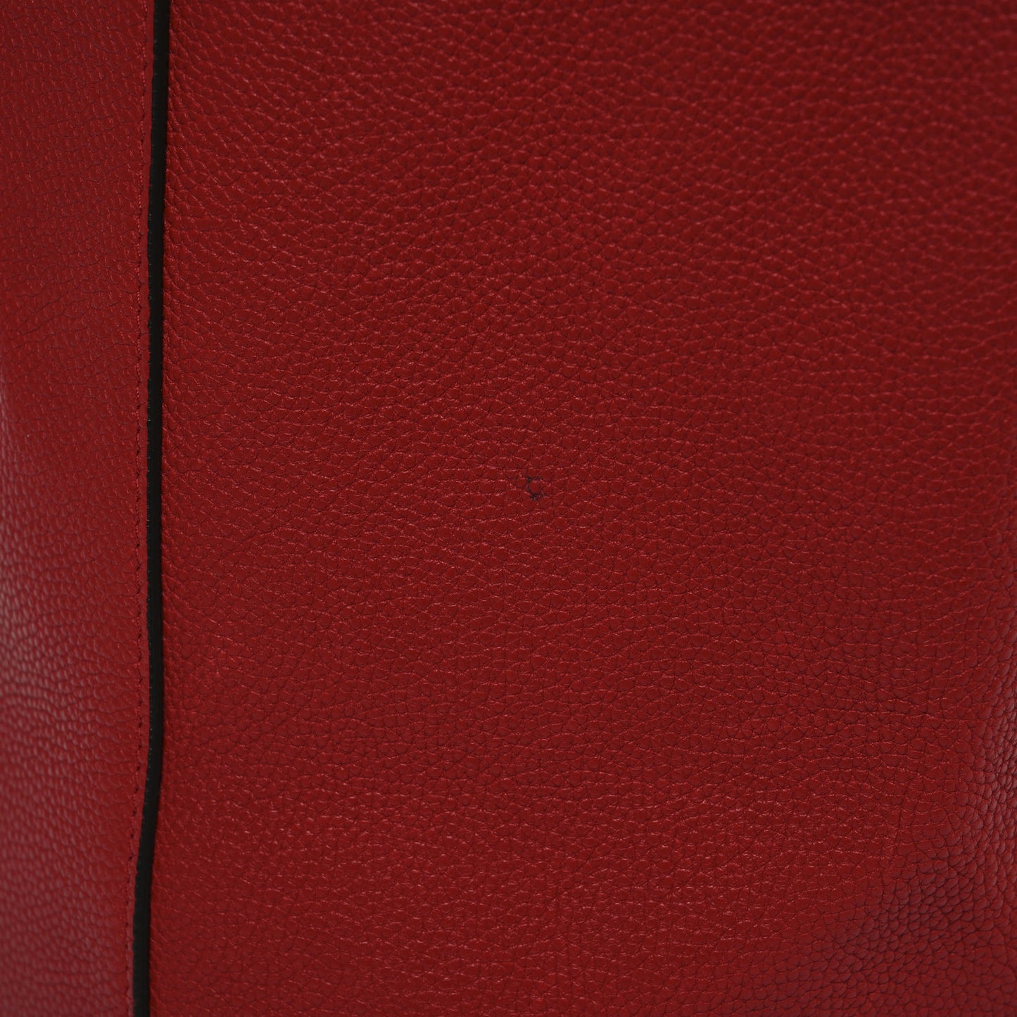 Soft Grained Calfskin Medium Belt Cabas Phantom Coquelicot