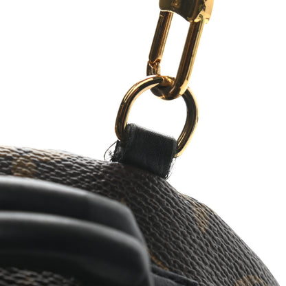 Louis Vuitton Monogram World Tour Palm Springs Backpack Mini 10 of 11