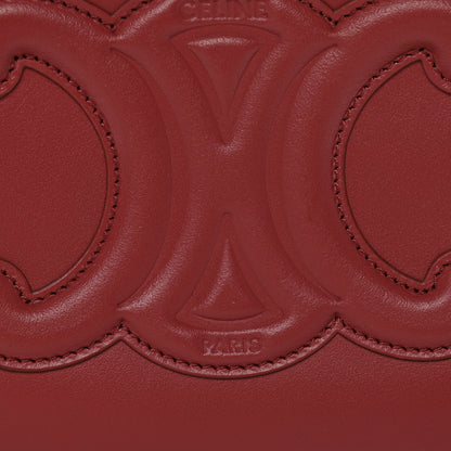 Celine Smooth Calfskin Cuir Triomphe Camera Shoulder Bag Lipstick 8 of 12