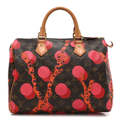 Louis Vuitton Monogram Ramages Speedy 30 Grenade 1 of 10
