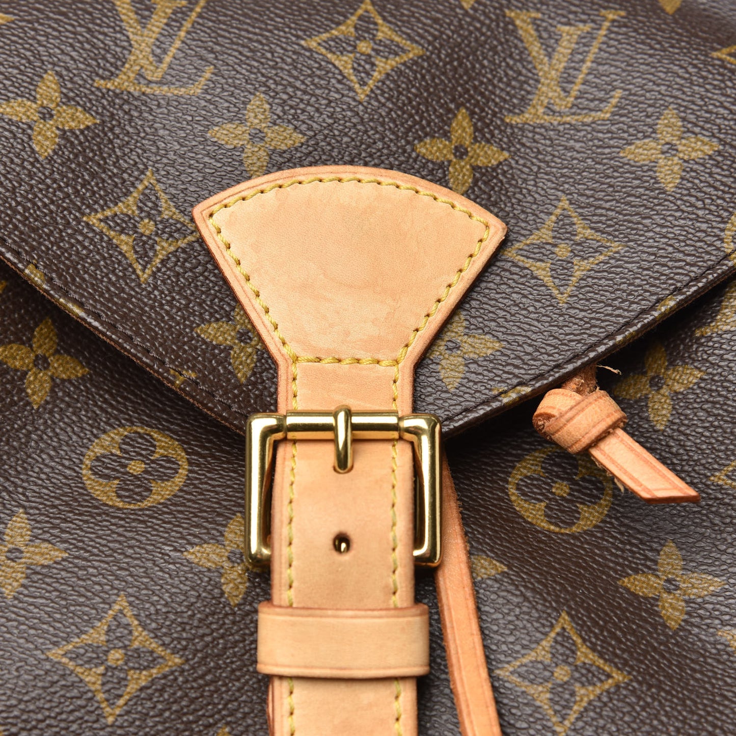 Monogram Montsouris GM Backpack