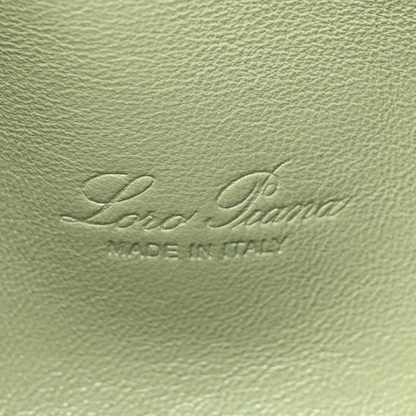 Grained Calfskin L19 Extra Pocket Pouch Sage Brush Leaves