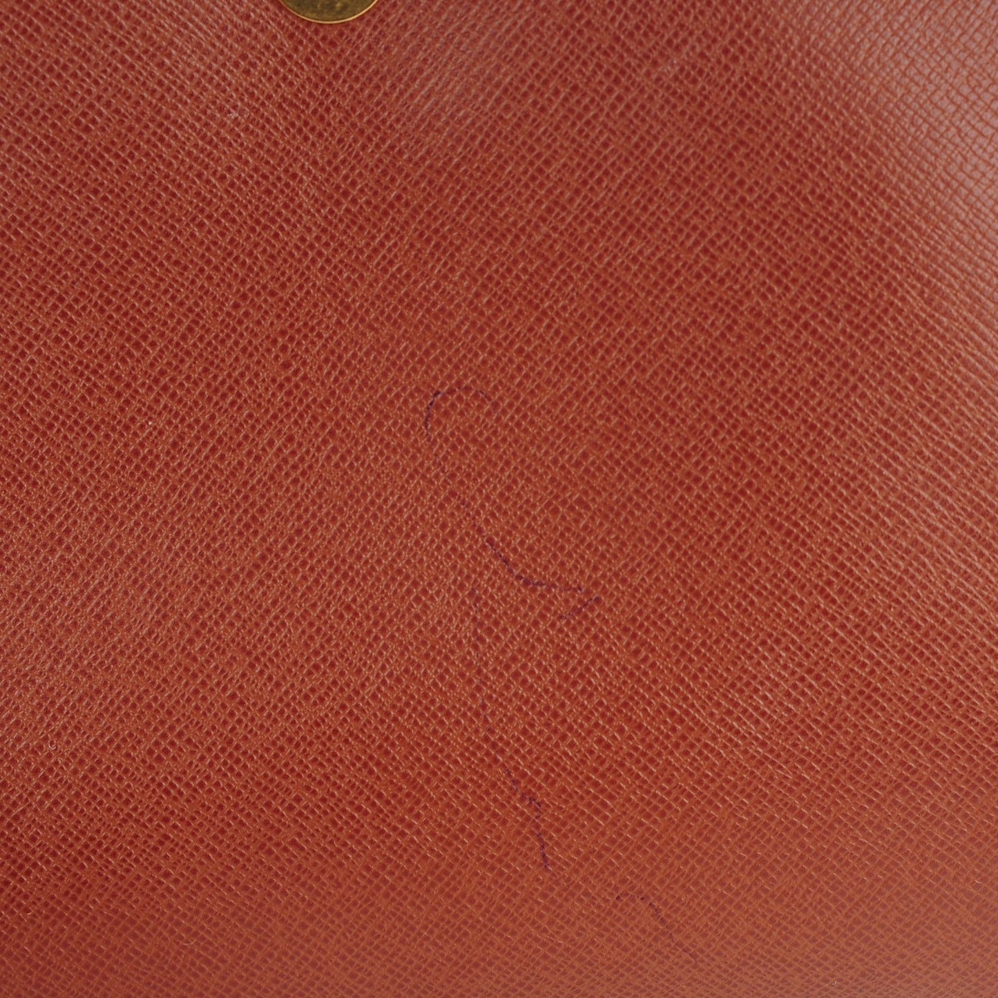 Monogram Musette Salsa