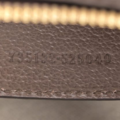 Gucci GG Supreme Monogram Textured Dollar Calfskin Web Small Ophidia GG Handbag Beige Ebony New Acero 7 of 11