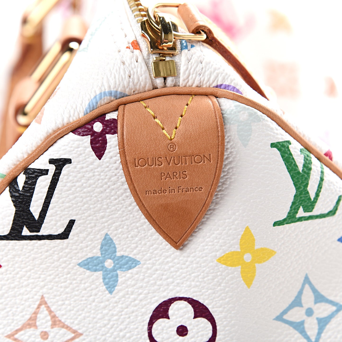 Monogram Multicolor Speedy 30 White