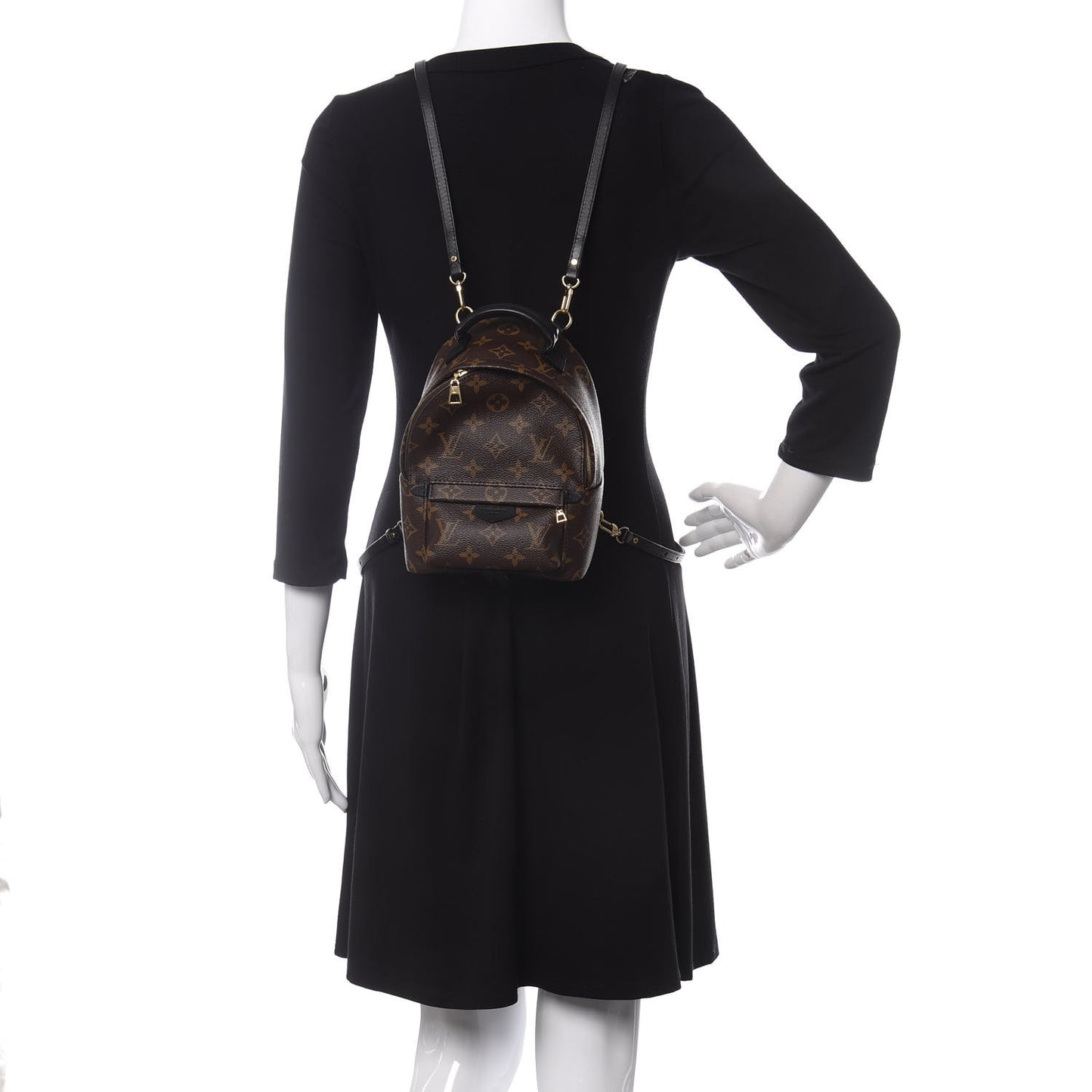 Monogram Palm Springs Backpack Mini