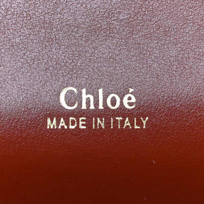 Chloe Shiny Goatskin Calfskin Mini Aby Chain Shoulder Bag Sepia Brown 6 of 10