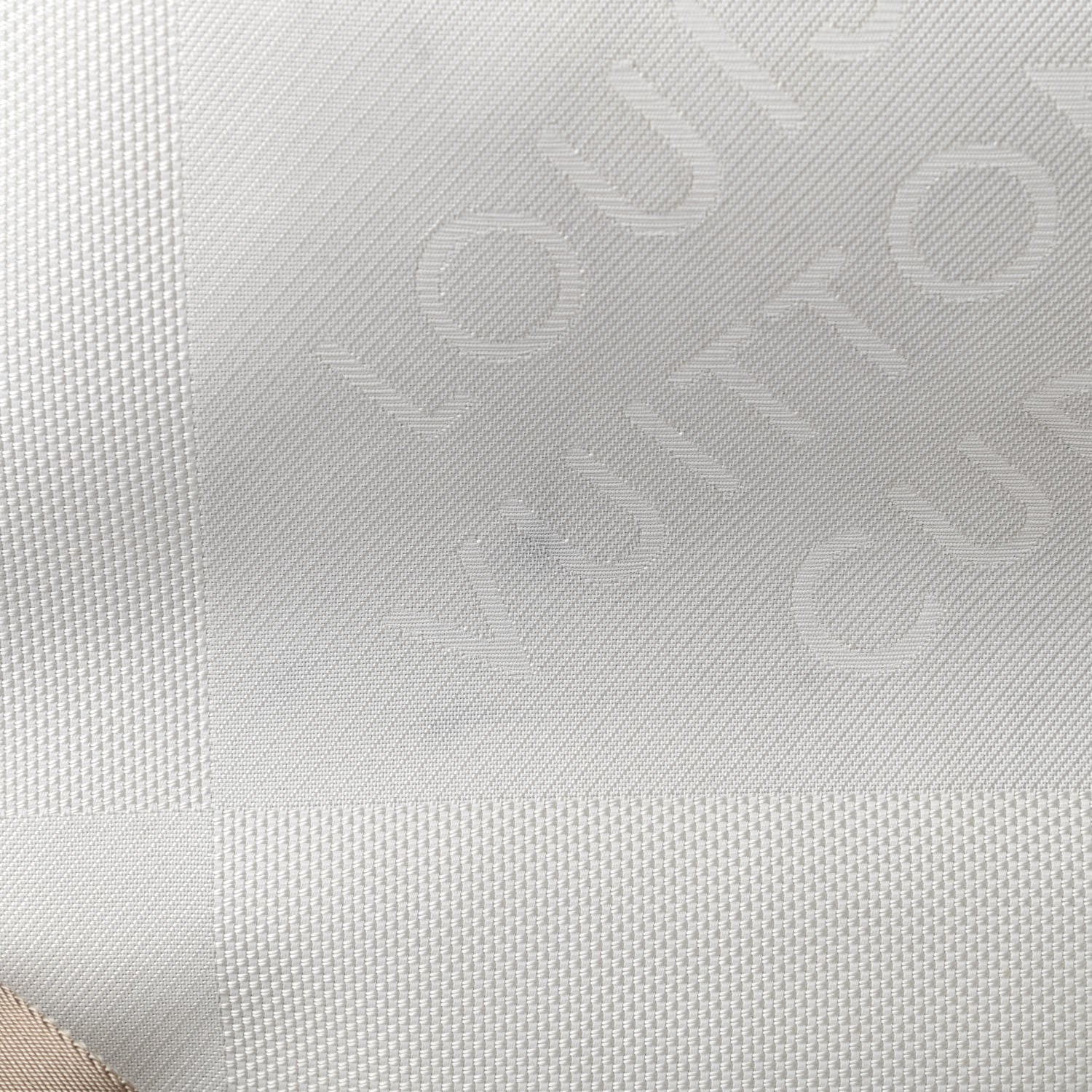 Louis Vuitton Damier Geant Americas Cup Volunteer Bag White 15 of 15