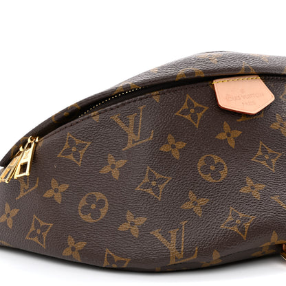 Louis Vuitton Monogram Bumbag 8 of 9