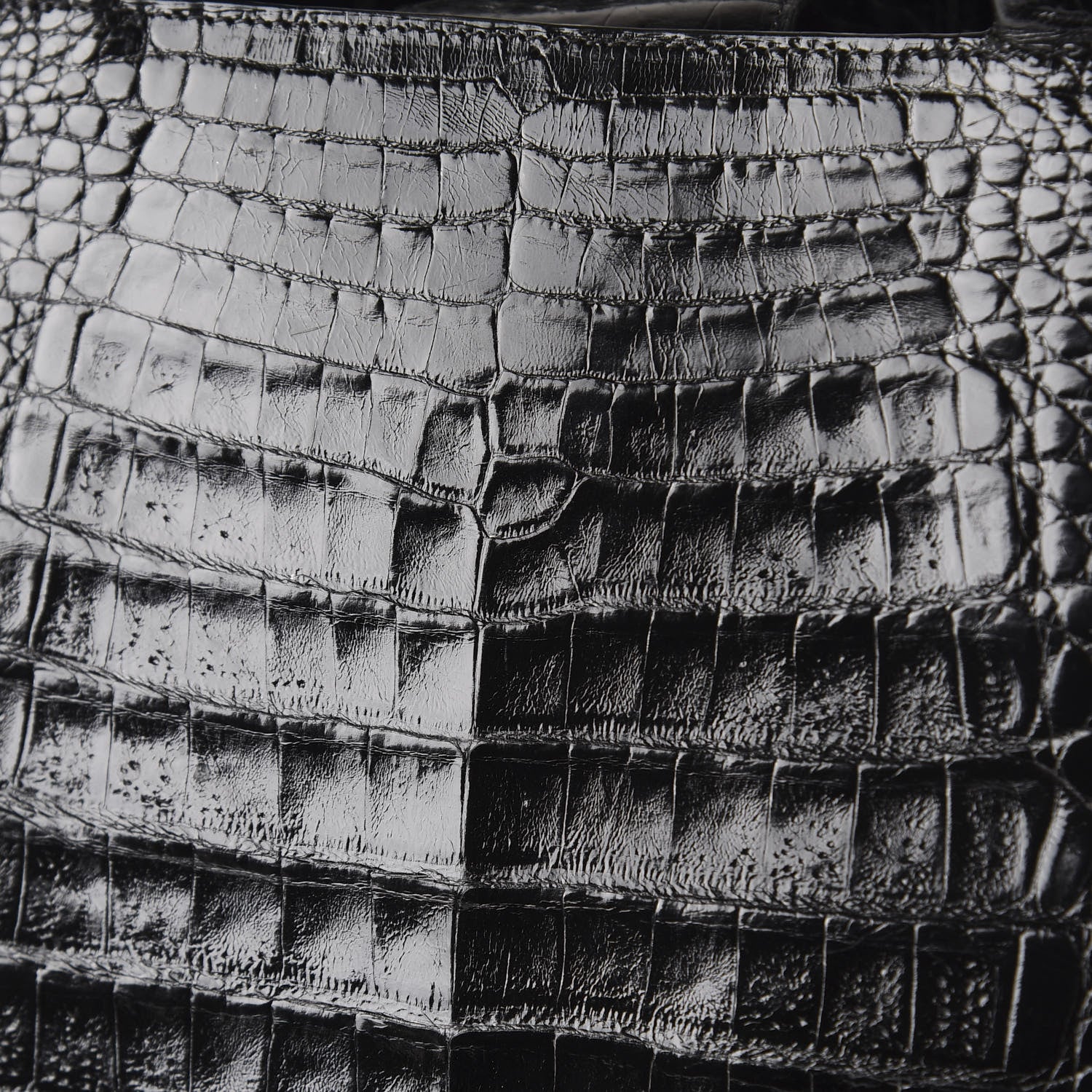 Nancy Gonzalez Crocodile Tote Black 8 of 8