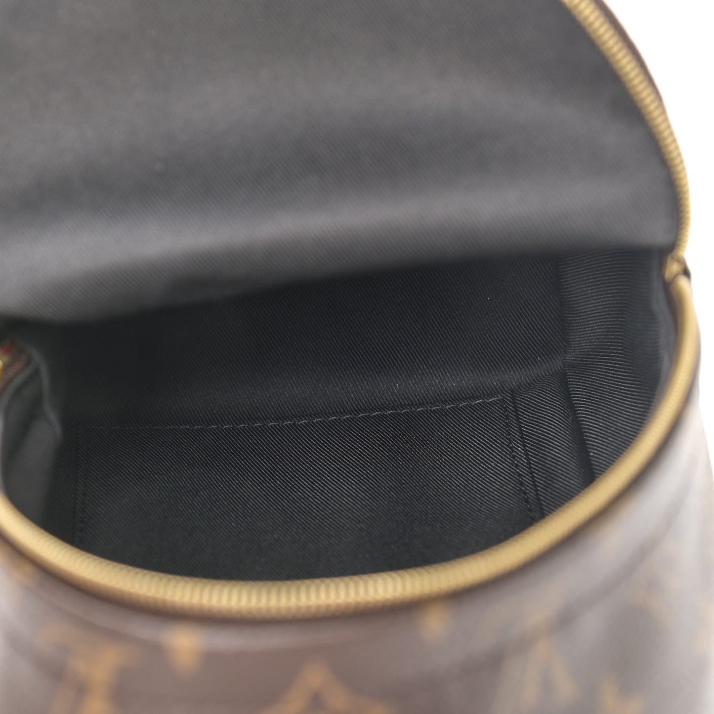 Monogram Palm Springs Backpack Mini