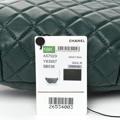 Chanel Calfskin Quilted Banane Waist Bag Fanny Pack Dark Green 11 of 12