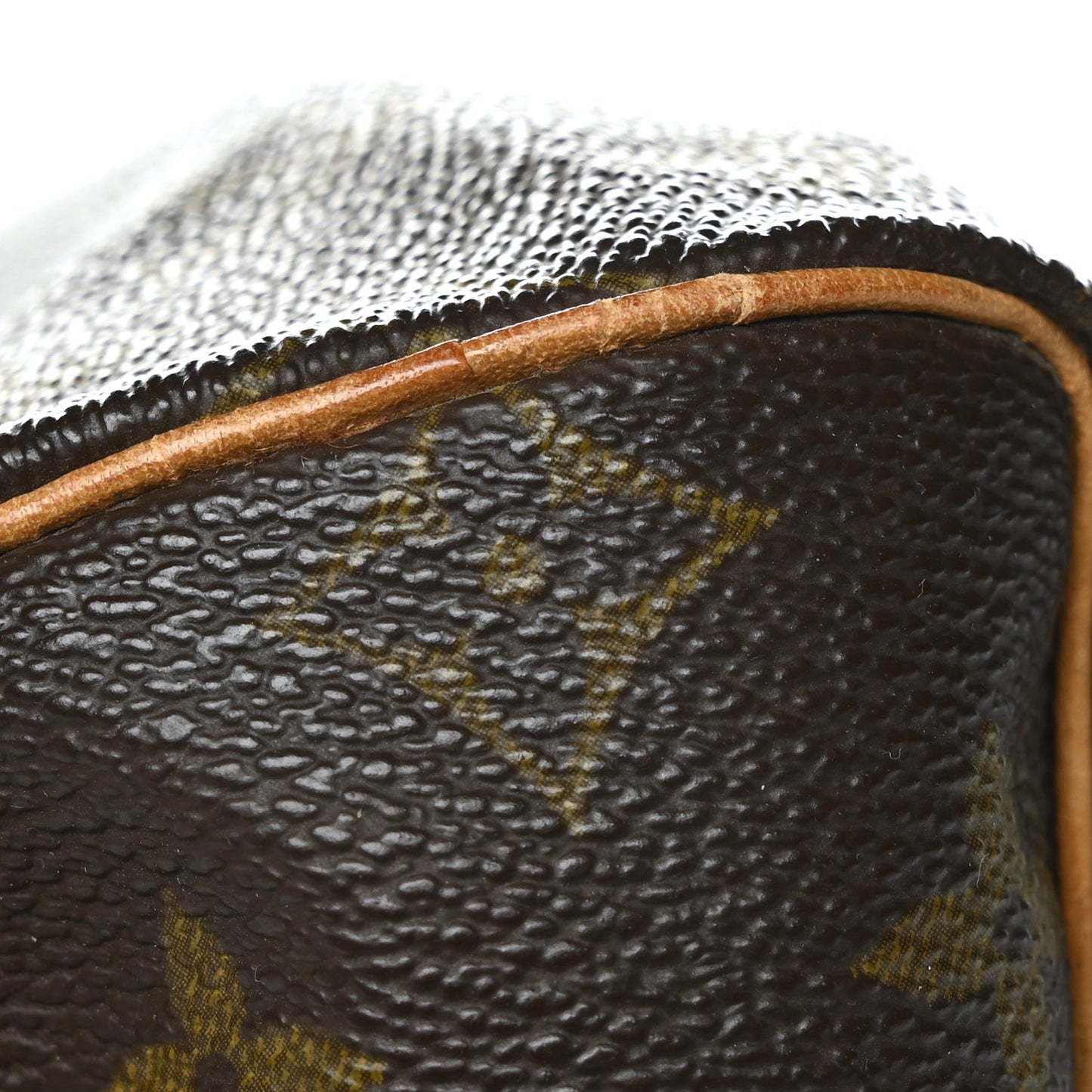 Monogram Mini Sac HL Speedy