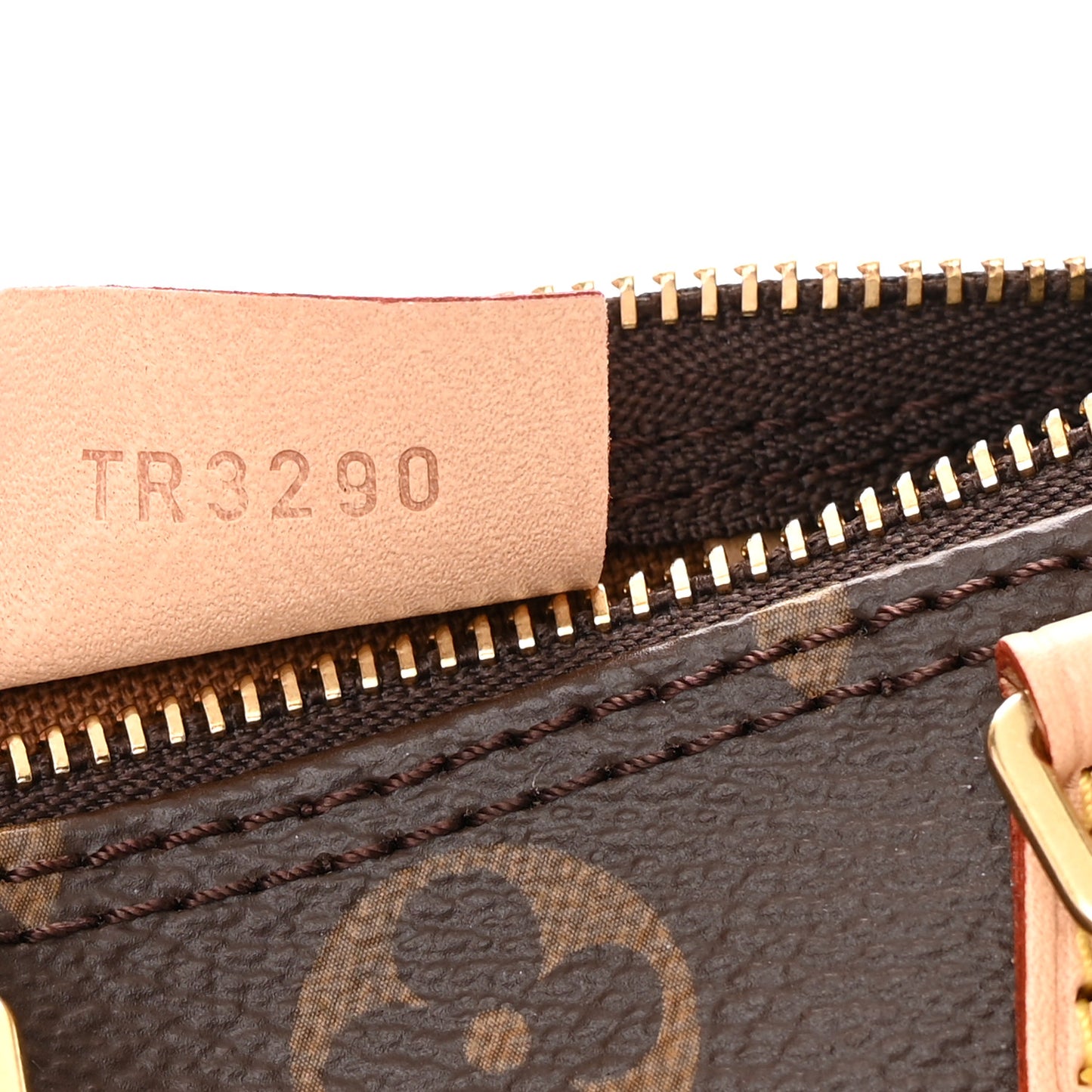 Monogram Nano Speedy